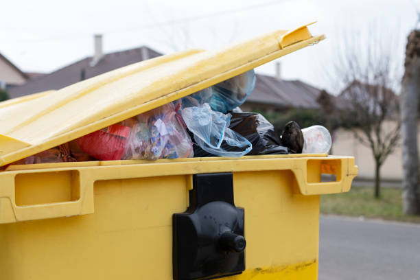 Best Carpet Removal and Disposal  in Rock Hill, MO
